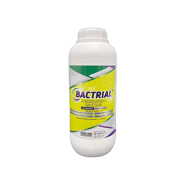BACTRIAL