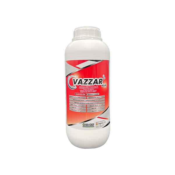 VAZZAR PLUS S.L.