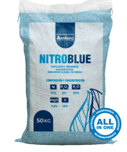NITROBLUE