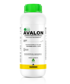 AVALON
