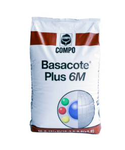BASACOTE PLUS 6M
