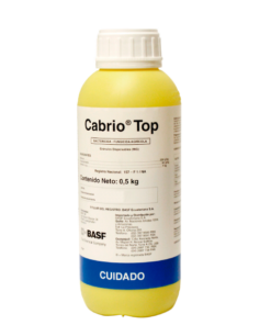 CABRIO TOP
