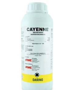 CAYENNE
