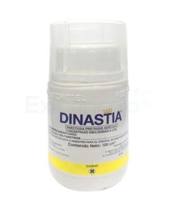 DINASTIA