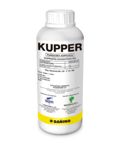 KUPPER