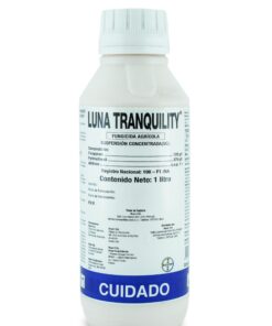 LUNA TRANQUILITY