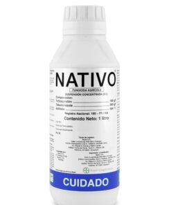 NATIVO
