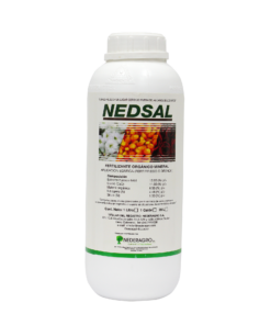 NED SAL