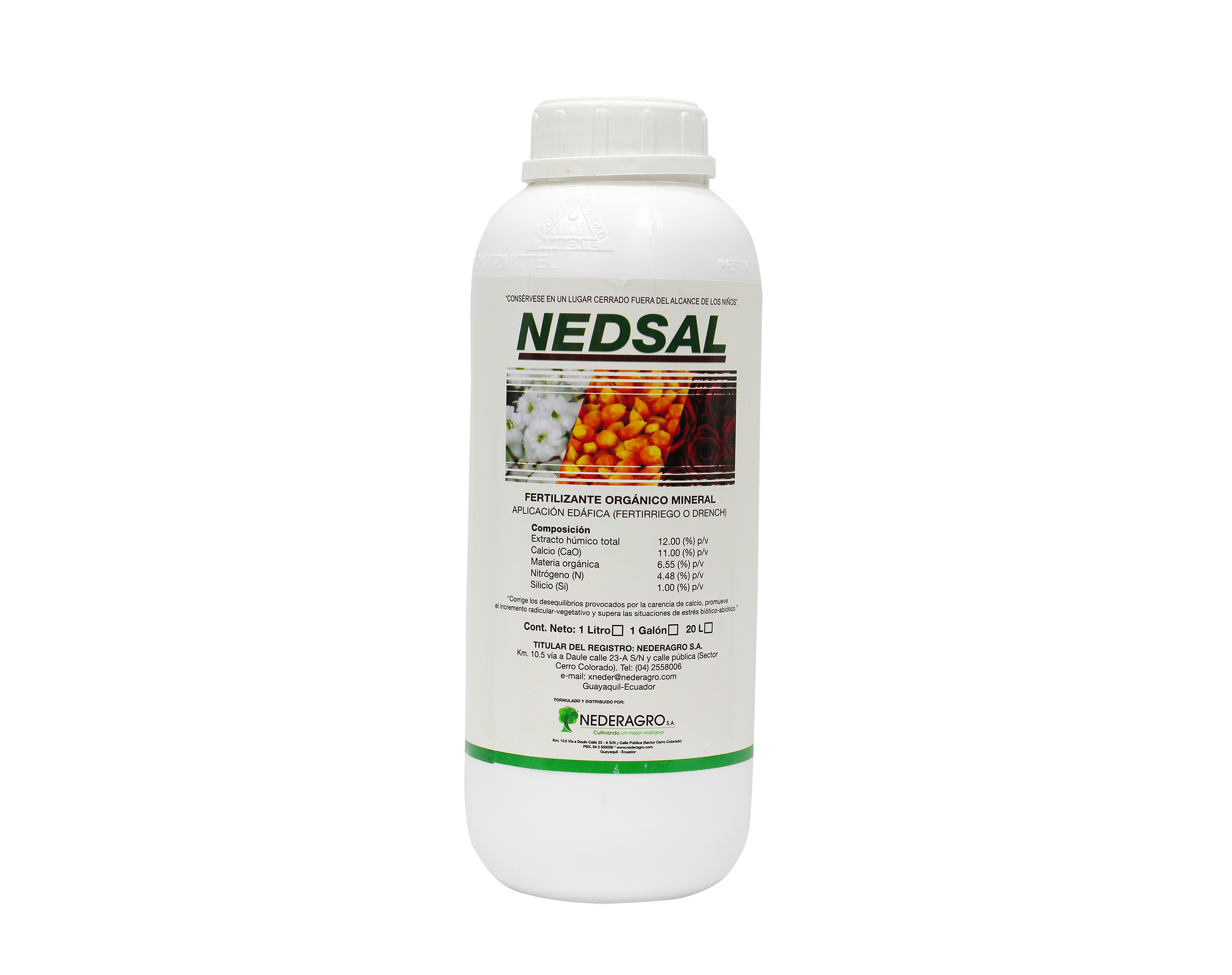 NED SAL