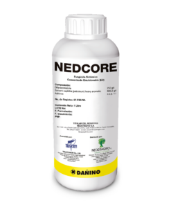 NEDCORE