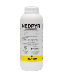 NEDPYR