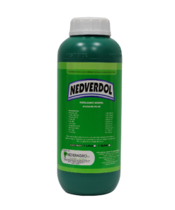 NEDVERDOL