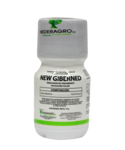 NEW GIBERNED