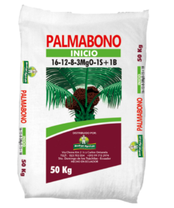PALMABONO