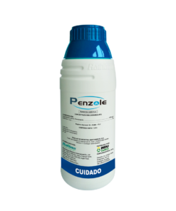 PENZOLE
