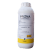 PRIZMA