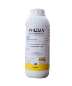 PRIZMA