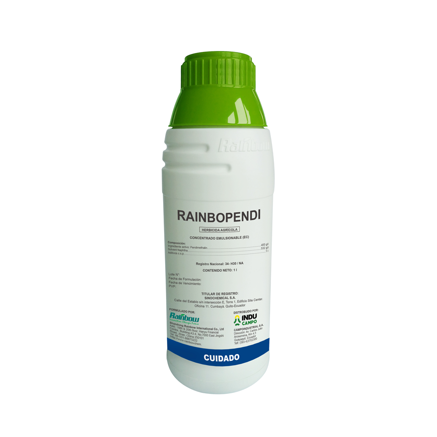 RAINBOPENDI