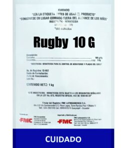 RUGBY