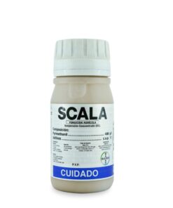SCALA SC 400