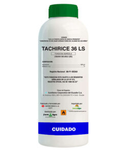 TACHIRICE