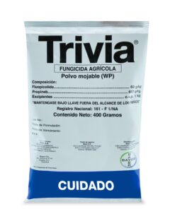 TRIVIA WP