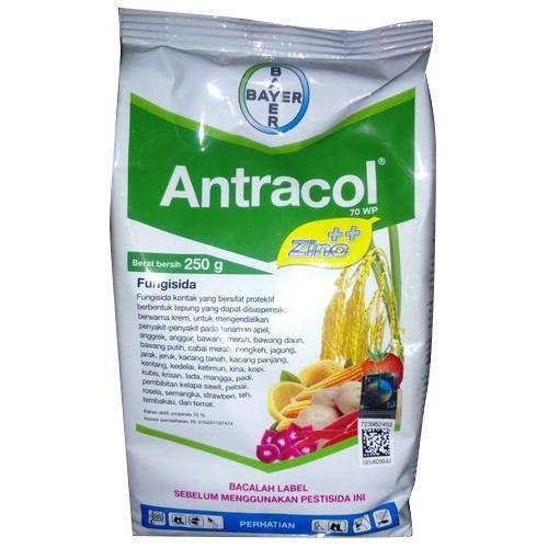 ANTRACOL WP70