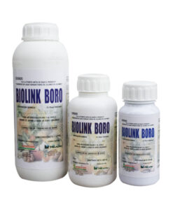 BIOLINK BORO