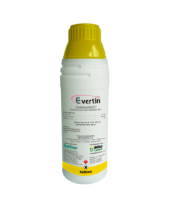 EVERTIN