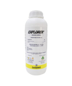 EXPLORER