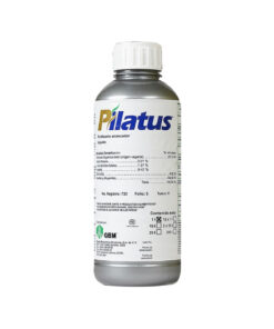 PILATUS