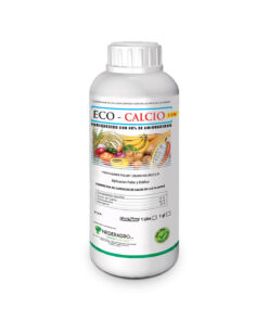 ECO CALCIO