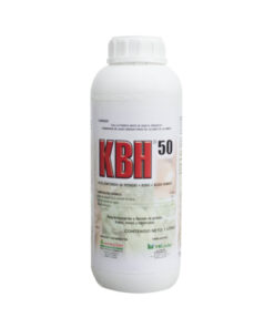 KBH 50