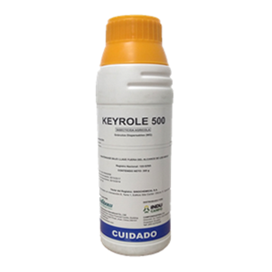 KEYROLE 500
