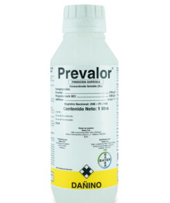 PREVALOR