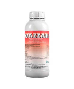VAZZAR