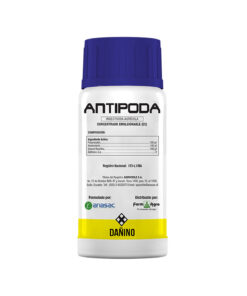 ANTIPODA