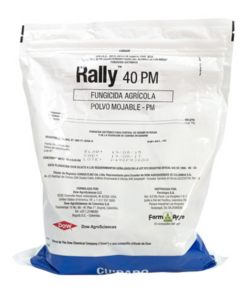 RALLY