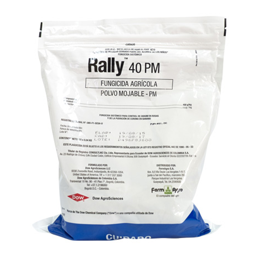 RALLY