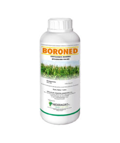 BORONED