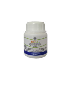 BELT SC 480