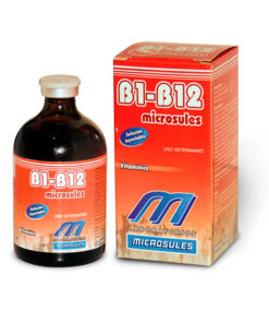 B1 + B12