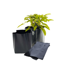 FUNDA VIVERO