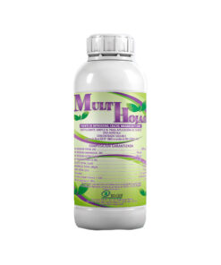 MULTIHOJAS