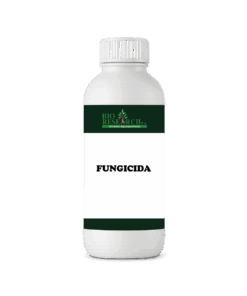 PROCICLAM